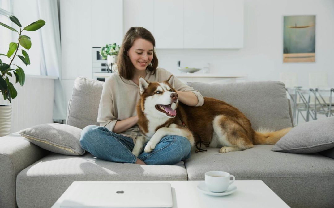 Renters Right Act: Pets